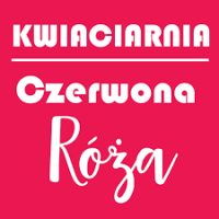 kwiaciarnia czerwona roza